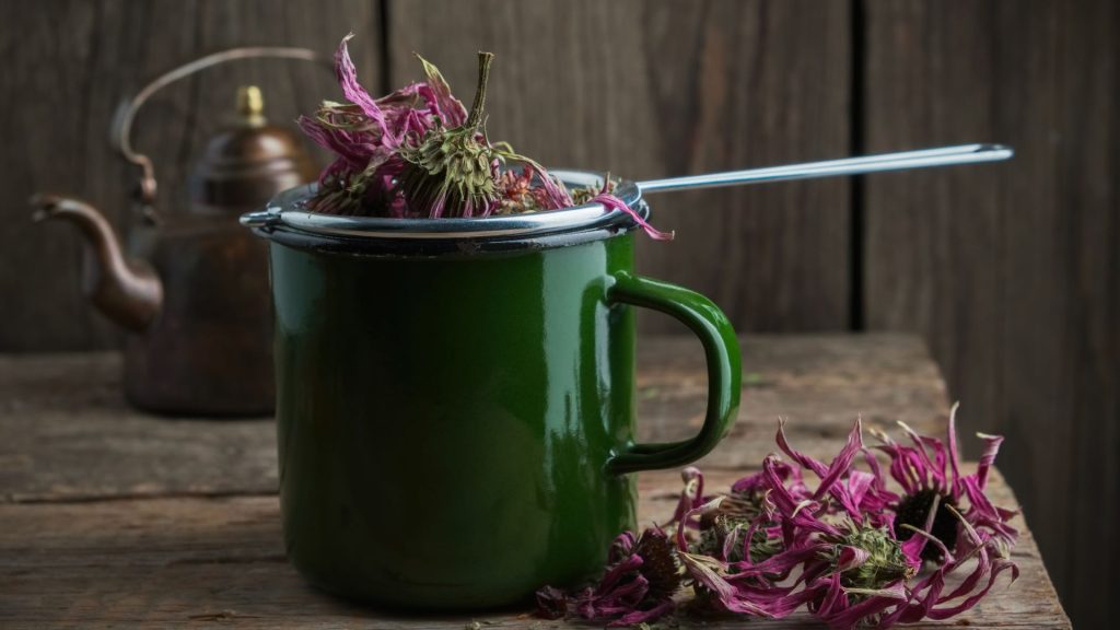 La Equinácea es una planta medicinal conocida por sus poderosos beneficios para la salud. Descubre cómo fortalecer tu sistema inmunológico, prevenir resfriados y aliviar infecciones respiratorias con esta planta milagrosa. ¡Descubre todos sus beneficios en nuestro artículo completo!